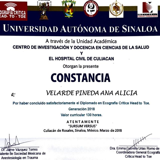 Ampliar imagen: certificate 4