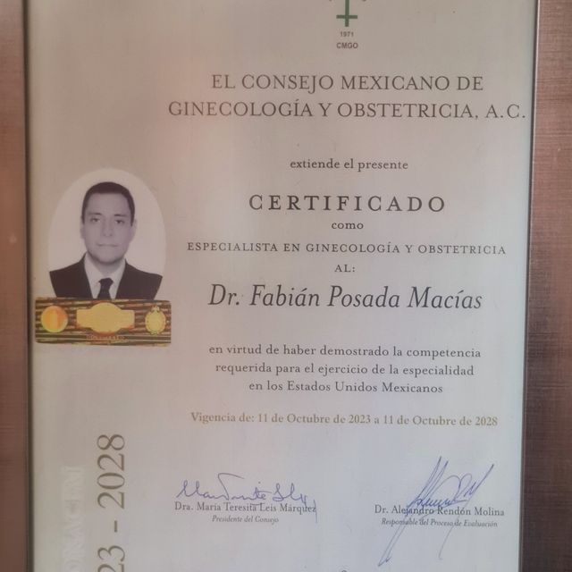 Ampliar imagen: certificate 9