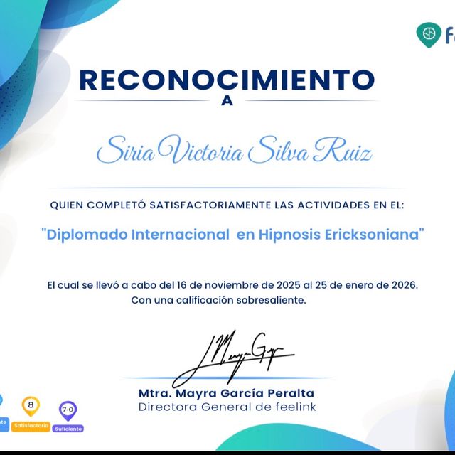 Ampliar imagen: certificate 11
