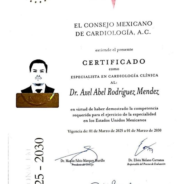Ampliar imagen: certificate 2