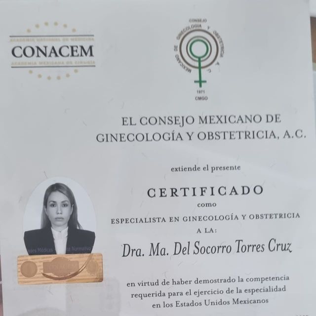 Ampliar imagen: certificate 1