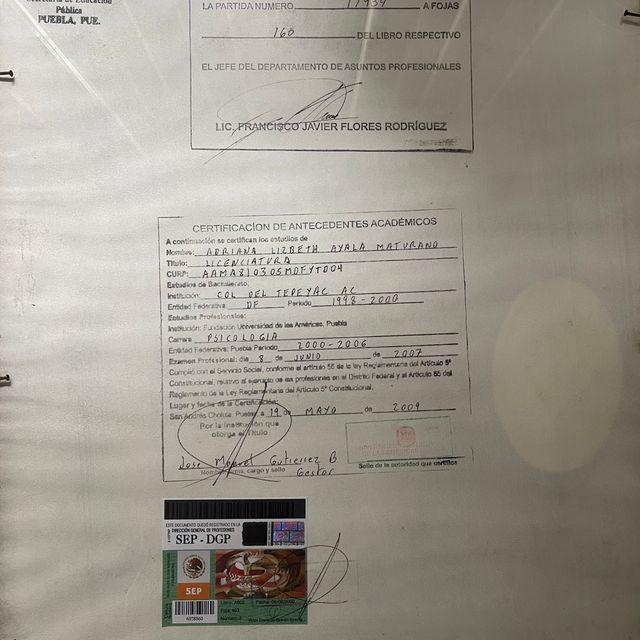 Ampliar imagen: certificate 4