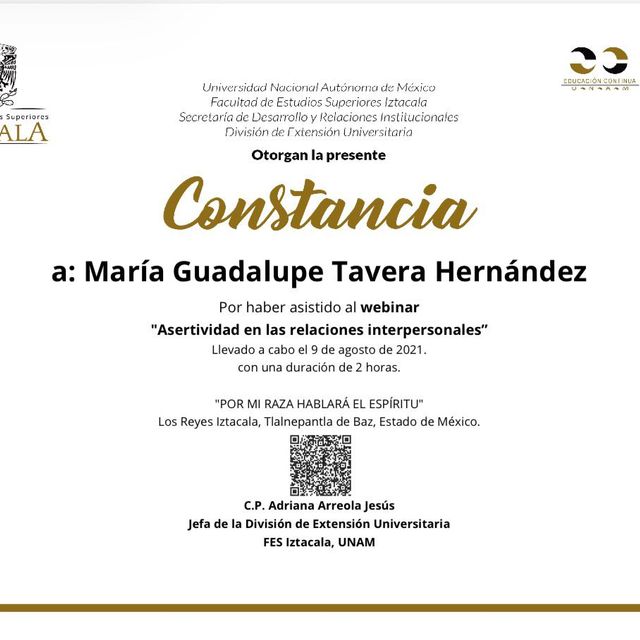 Ampliar imagen: certificate 43