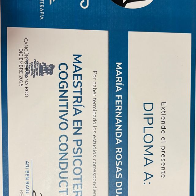 Ampliar imagen: certificate 3