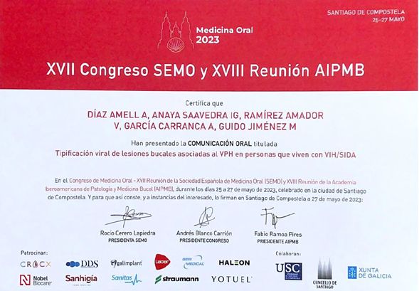 Ampliar imagen: certificate 5