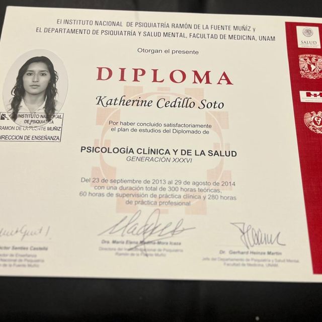 Ampliar imagen: certificate 5