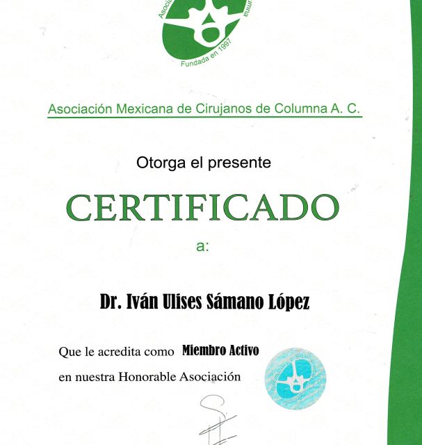 Ampliar imagen: certificate 5