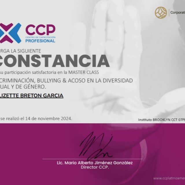 Ampliar imagen: certificate 25