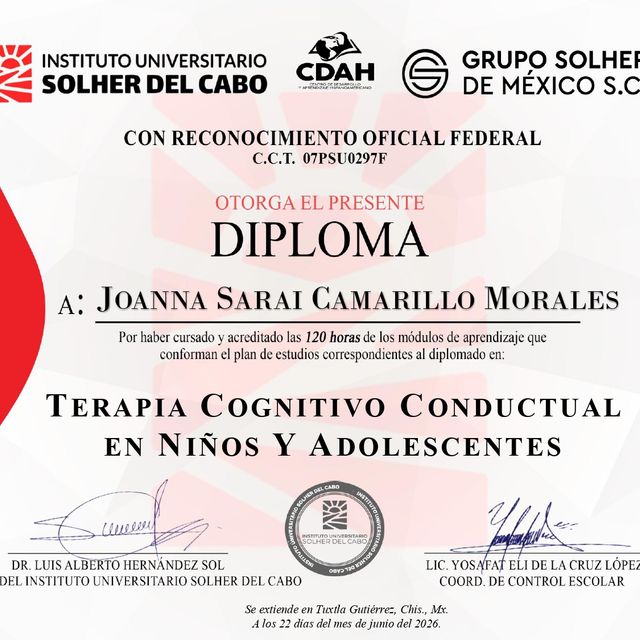 Ampliar imagen: certificate 3
