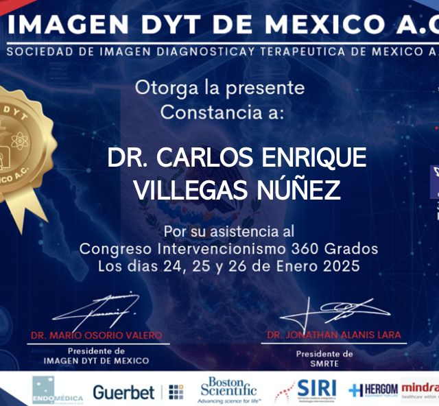 Ampliar imagen: certificate 12