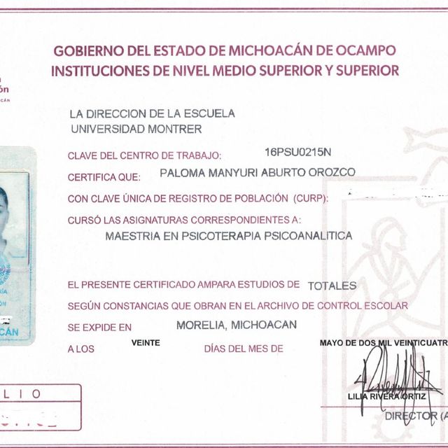 Ampliar imagen: certificate 1