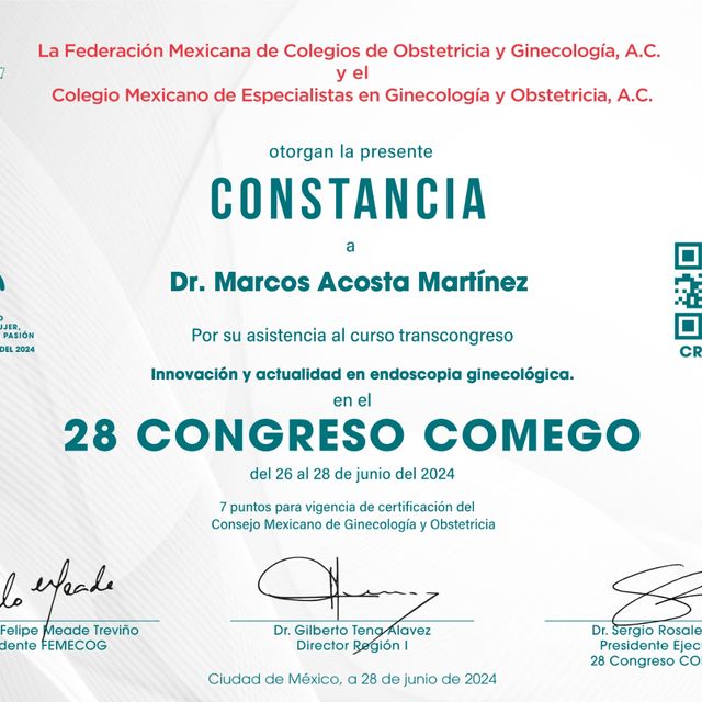 Ampliar imagen: certificate 6
