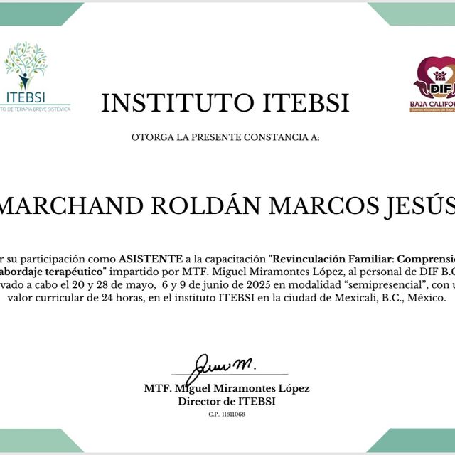 Ampliar imagen: certificate 1