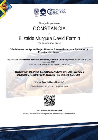 Ampliar imagen: certificate 11