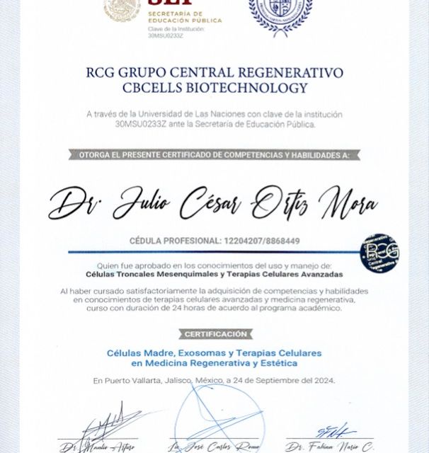 Ampliar imagen: certificate 2
