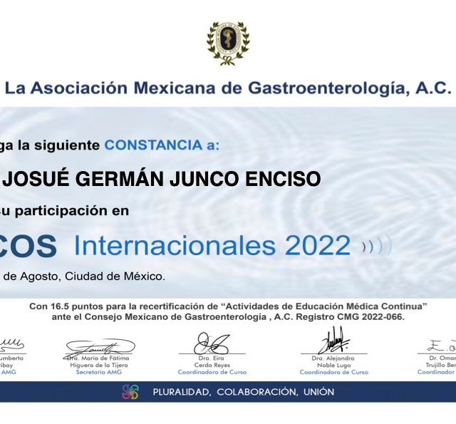 Ampliar imagen: certificate 5