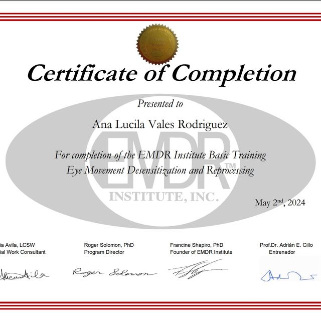 Ampliar imagen: certificate 7