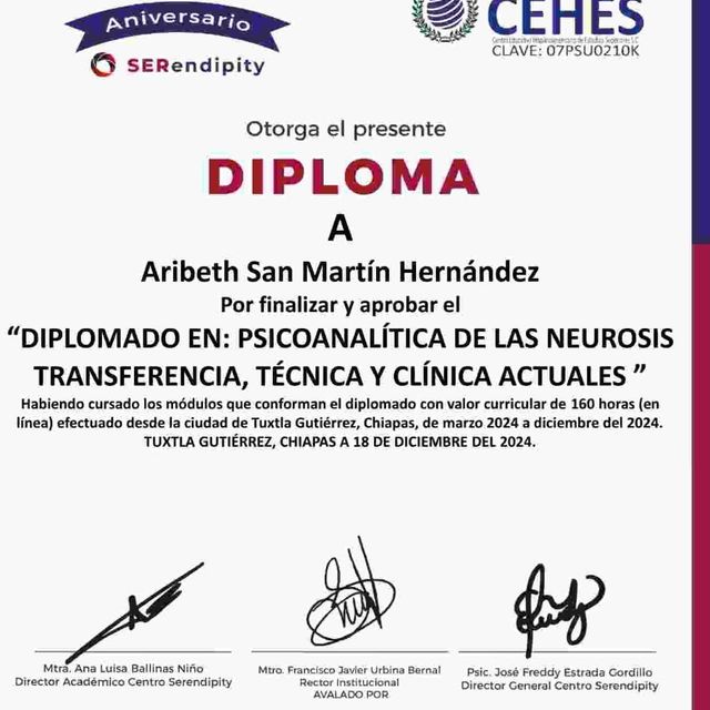 Ampliar imagen: certificate 13