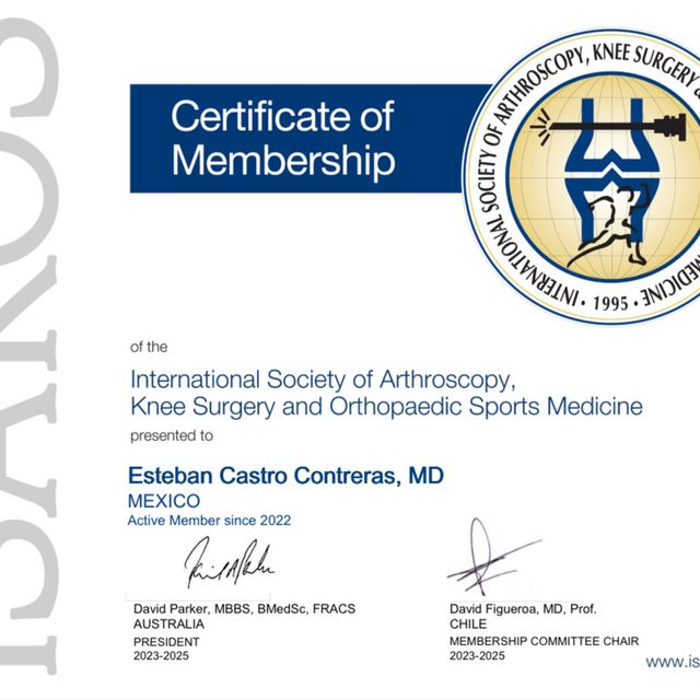 Ampliar imagen: certificate 5