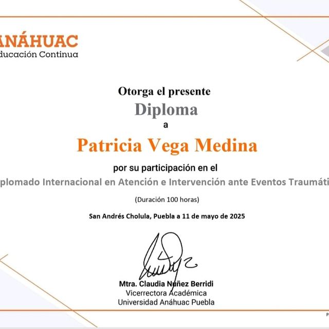 Ampliar imagen: certificate 4