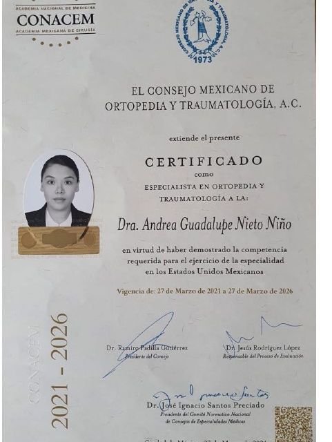 Ampliar imagen: certificate 1