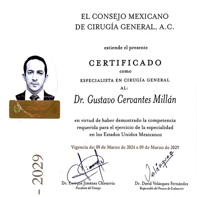 Ampliar imagen: certificate 1