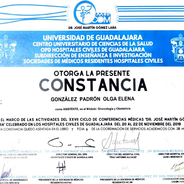 Ampliar imagen: certificate 13