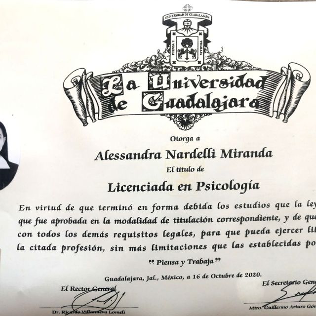 Ampliar imagen: certificate 1