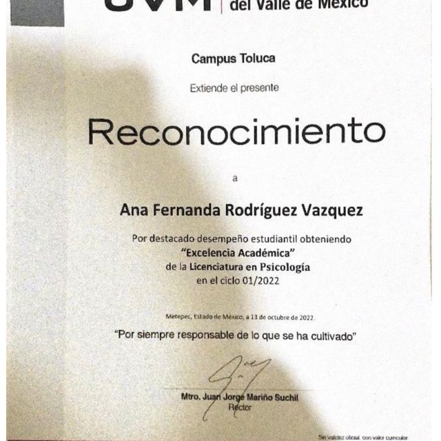 Ampliar imagen: certificate 3