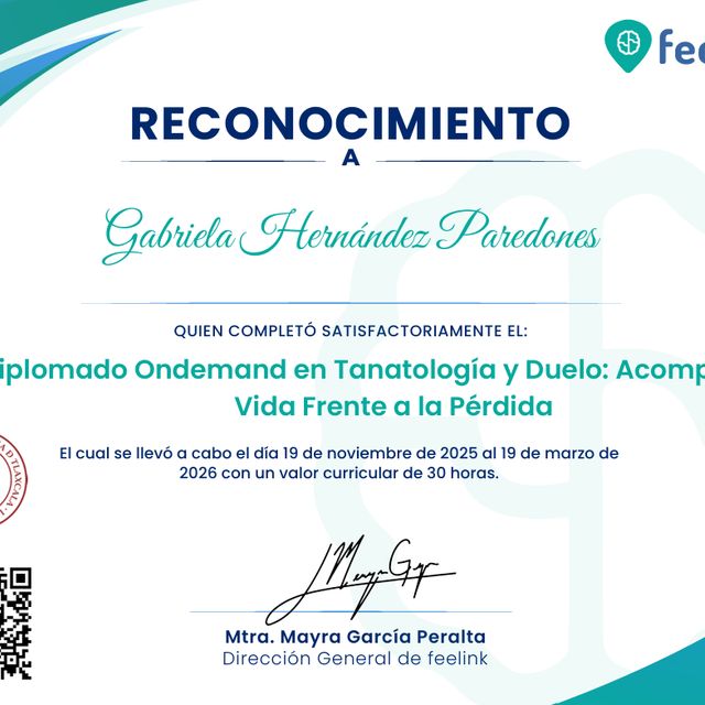 Ampliar imagen: certificate 8