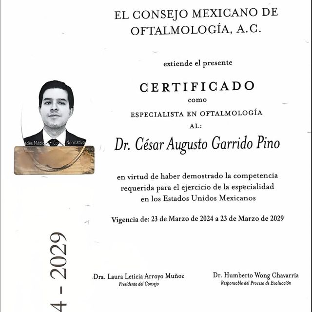 Ampliar imagen: certificate 1