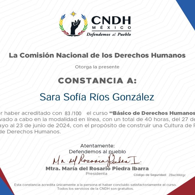 Ampliar imagen: certificate 7