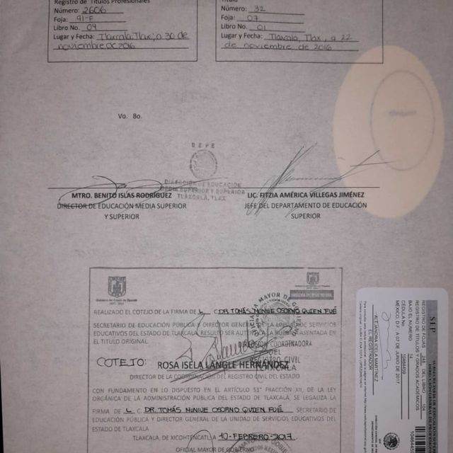 Ampliar imagen: certificate 3