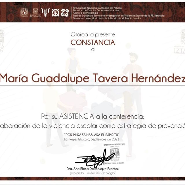 Ampliar imagen: certificate 61
