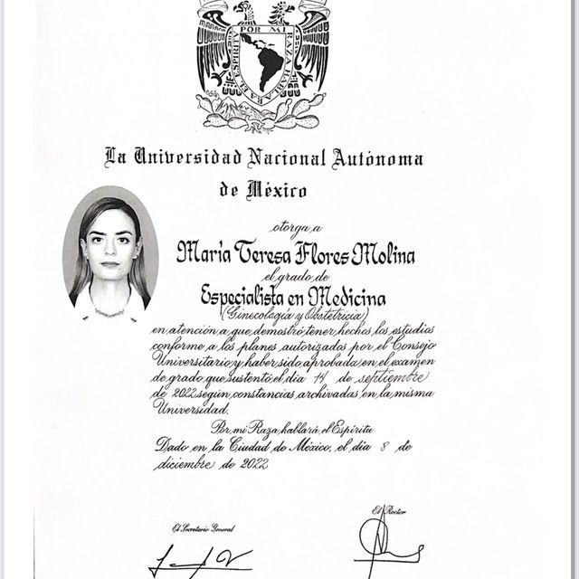 Ampliar imagen: certificate 4