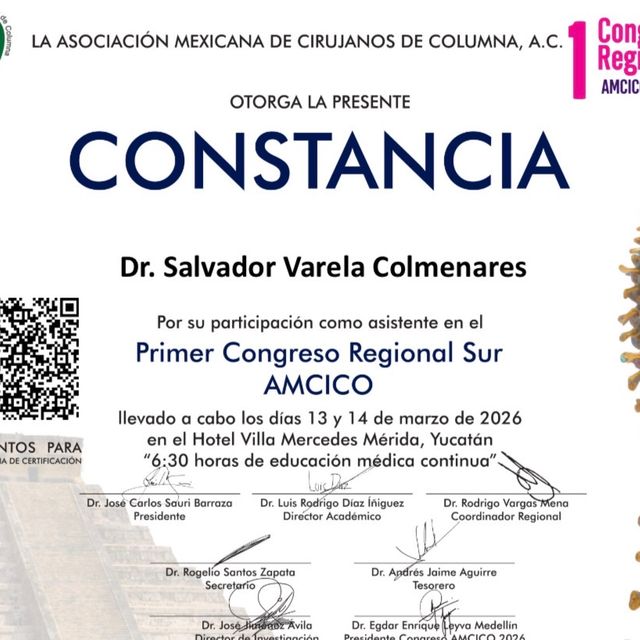 Ampliar imagen: certificate 13