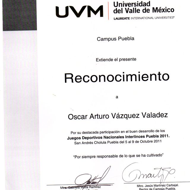 Ampliar imagen: certificate 8