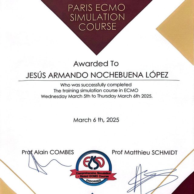 Ampliar imagen: certificate 6