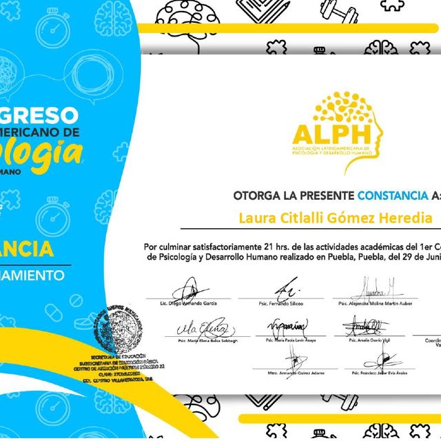 Ampliar imagen: certificate 11