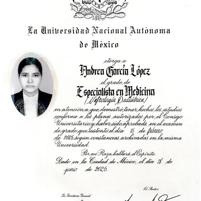 Ampliar imagen: certificate 7