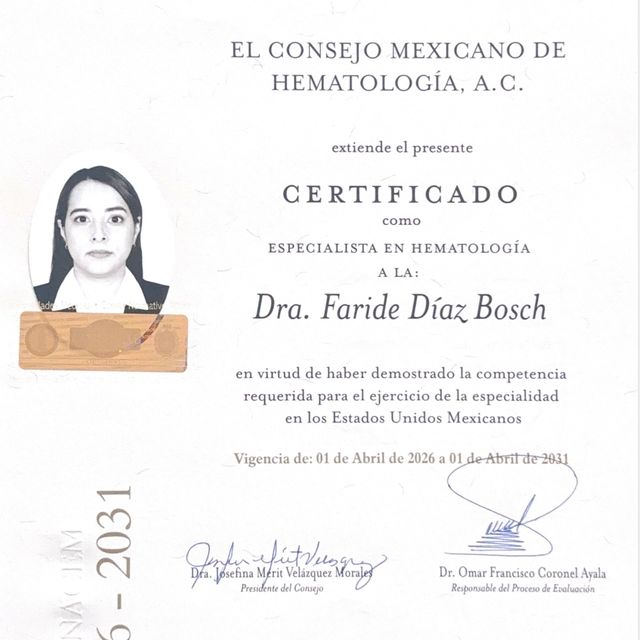 Ampliar imagen: certificate 1