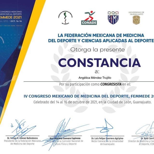 Ampliar imagen: certificate 13