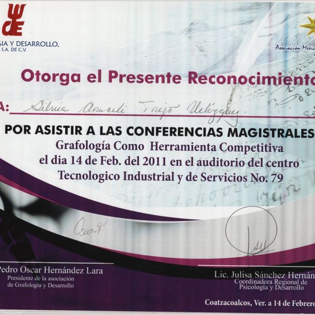 Ampliar imagen: certificate 19