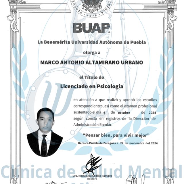Ampliar imagen: certificate 2