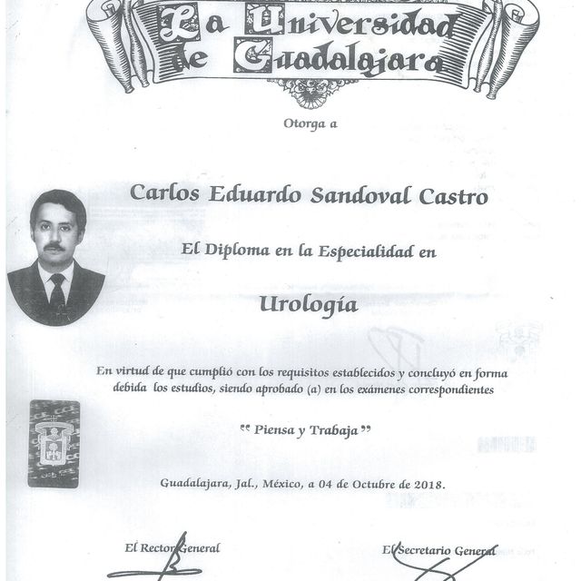 Ampliar imagen: certificate 4