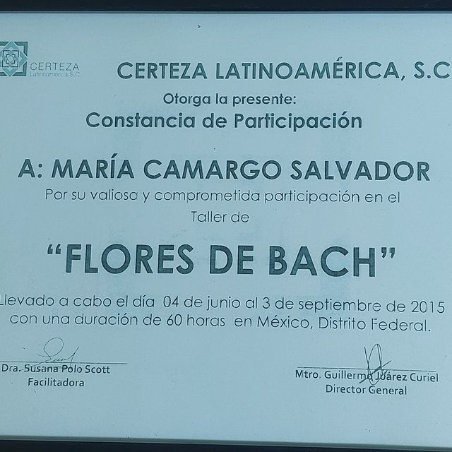 Ampliar imagen: certificate 21