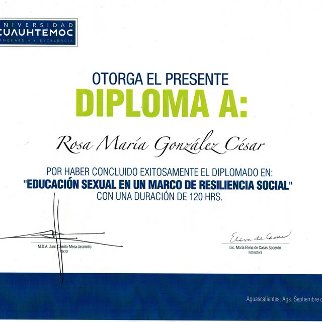 Ampliar imagen: certificate 13