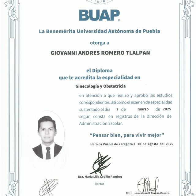 Ampliar imagen: certificate 7