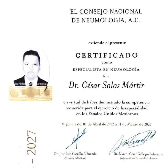 Ampliar imagen: certificate 1