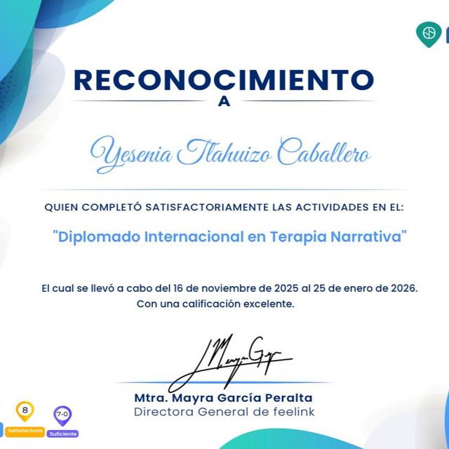 Ampliar imagen: certificate 4